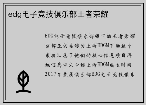 edg电子竞技俱乐部王者荣耀